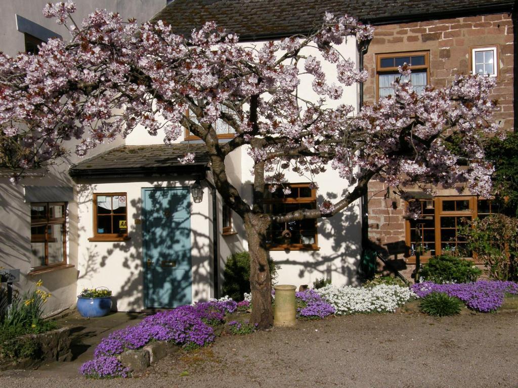 Lea House Bed And Breakfast Ross-on-Wye Esterno foto
