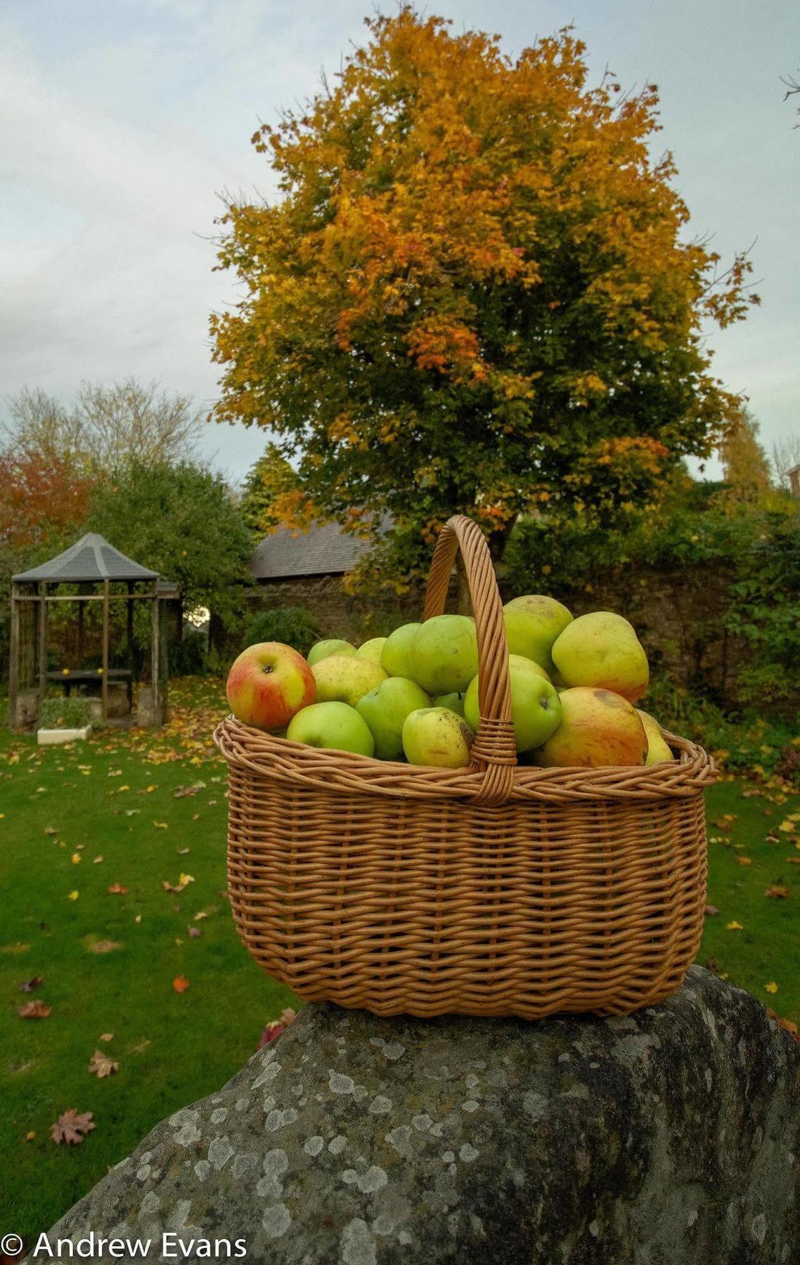 Lea House Bed And Breakfast Ross-on-Wye Esterno foto